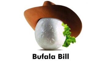 ASD o SSD a rl? Come scegliere? Quali differenze? Cosa conviene? Qual è meglio?