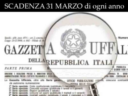 D.L. n° 185/2008 e Circolari AdE n° 12/E, 45/E del 2009 – Modello EAS