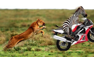 Esentate le Associazioni in 398 dallo split payment – Una nuova vittoria di TeamArtist