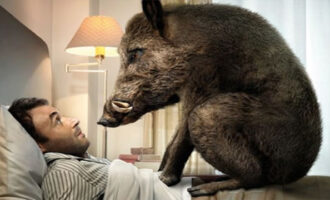 Grandinano multe sull’universo delle sagre. Da 2mila fino a 180mila euro