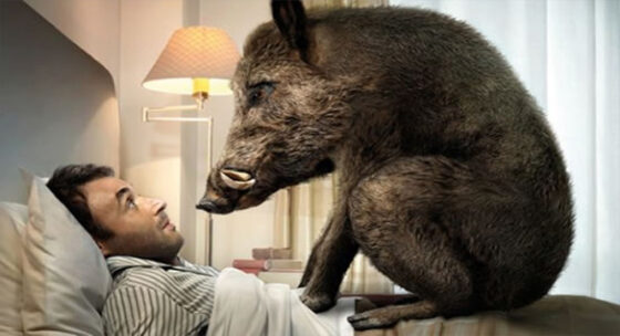 Grandinano multe sull’universo delle sagre. Da 2mila fino a 180mila euro