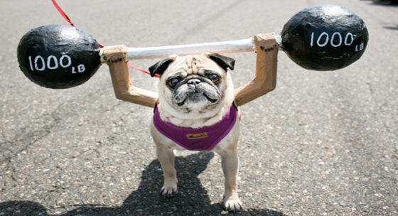 Certificati Medici & Associazioni Sportive Dilettantistiche – Aiutateci a farci ascoltare dal CONI!