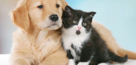 Mondiale Antirazzista: 20 anni di sport, diritti e integrazione