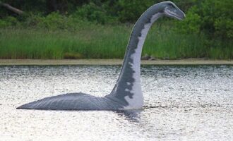 Le entrate commerciali della mia Associazione devono essere inferiori a quelle istituzionali?