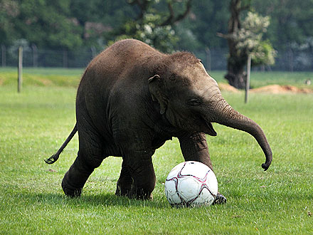 Lo sport come strumento per abbattere le barriere sociali