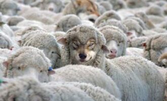 Falsa ONLUS a Taranto, scoperta un'altra impresa travestita da Associazione