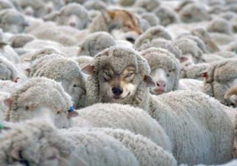 Falsa ONLUS a Taranto, scoperta un’altra impresa travestita da Associazione