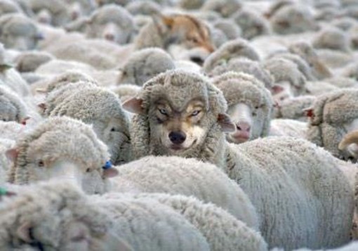 Falsa ONLUS a Taranto, scoperta un’altra impresa travestita da Associazione