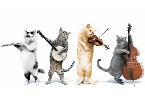 Quanti soci devono partecipare alle Assemblee dell’Associazione?