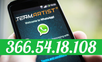 TeamArtist WhatsApp: i 3 passaggi per avere il nostro numero di Telefono!