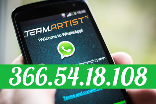 TeamArtist WhatsApp: i 3 passaggi per avere il nostro numero di Telefono!