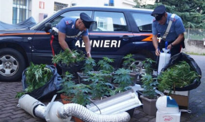 Quali sono le entrate istituzionali e quali commerciali in una Associazione