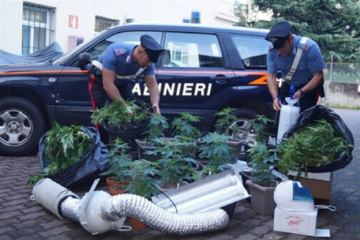 Quali sono le entrate istituzionali e quali commerciali in una Associazione