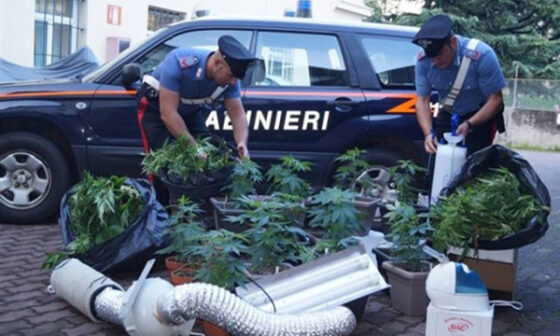 Quali sono le entrate istituzionali e quali commerciali in una Associazione