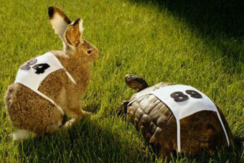 Associazioni Sportive e Certificati Medici Non agonistici