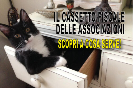 Il Cassetto Fiscale delle Associazioni
