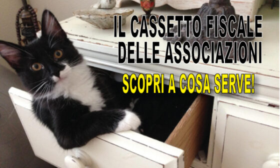 Il Cassetto Fiscale delle Associazioni
